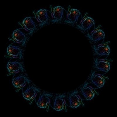 psychedelic brain 3 round preview