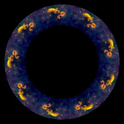 mushroom psychedelic round preview