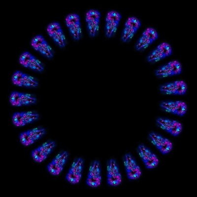 mushroom psychedelic 2 round preview