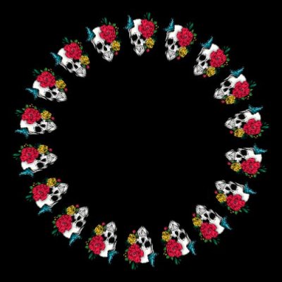 Skull with flowers round preview