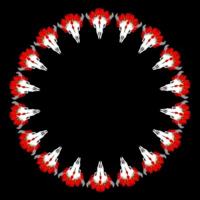 Animal Skull with flowers round preview