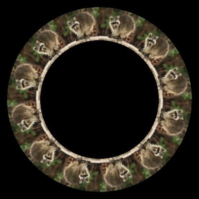 racoon round preview