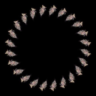 Only this and nothing more - Nick Einley round preview