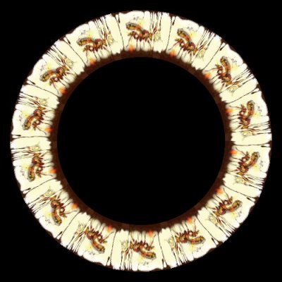 wasp by shadowchen round preview