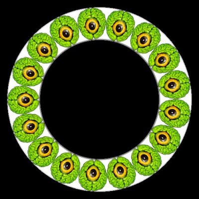 EYEBALL round preview