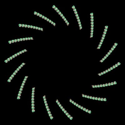 turtle shell tracing  down round preview