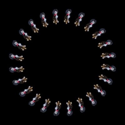 Benno Pup round preview