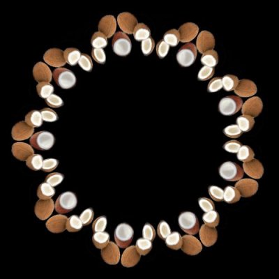 coconut abf round preview