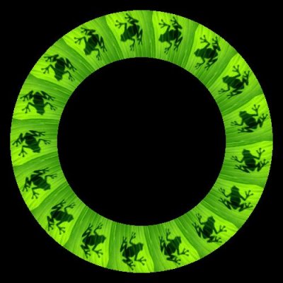 Longhorn Tree Froga round preview