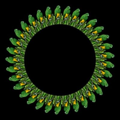 green and yellow on a stick round preview