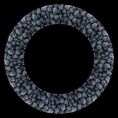 fruit blackberry $ round preview