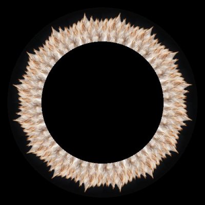 food lemon pie $ round preview