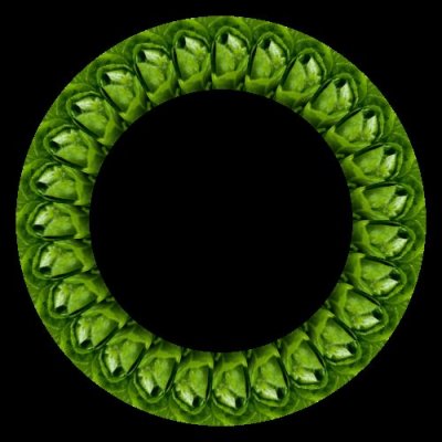 food lettuce round preview