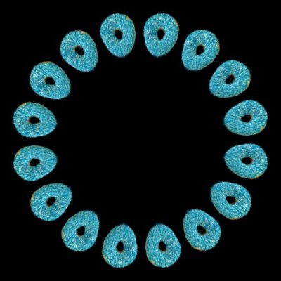 food donut d round preview