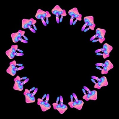 mushroom c round preview