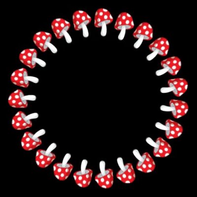 mushroom f round preview