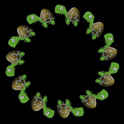 Turtle round preview