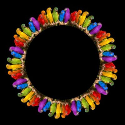 parrots on a stick round preview