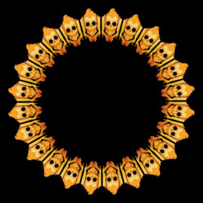 sugar skull b round preview