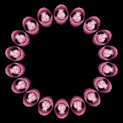 lips d round preview