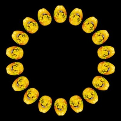 lips h round preview