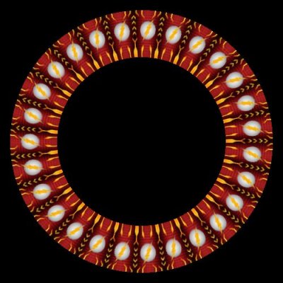 the flash round preview