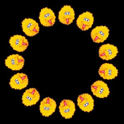 big bird a round preview