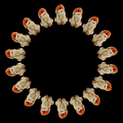 Barkley $$ round preview