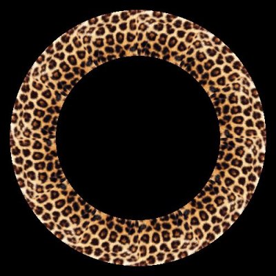 leopard fur round preview