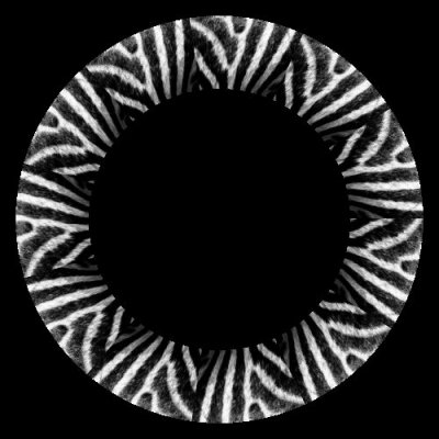 zebra fur round preview