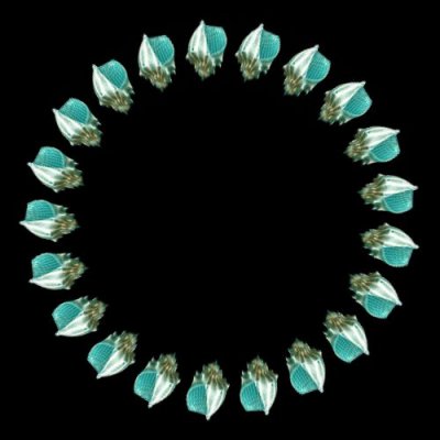 sea shell b round preview