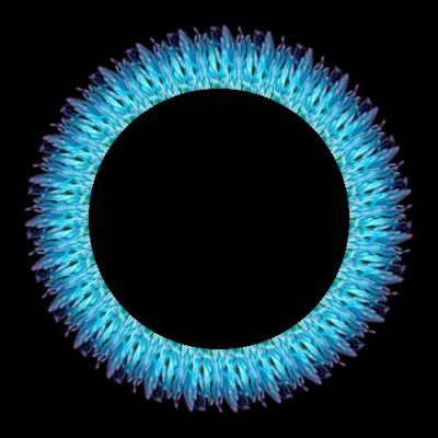 sea creatures blue round preview