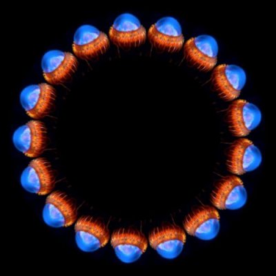 sea creature b round preview