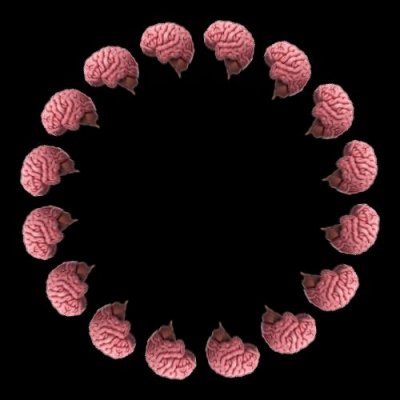 brain 1 round preview