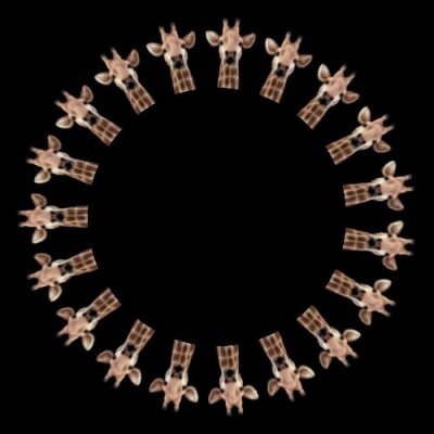 giraffe head round preview