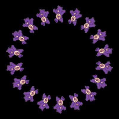 care bear f round preview