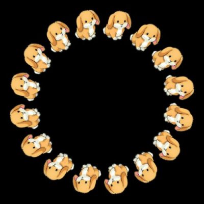 cute bunny round preview