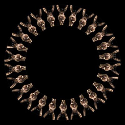 Donkey from Shrek round preview