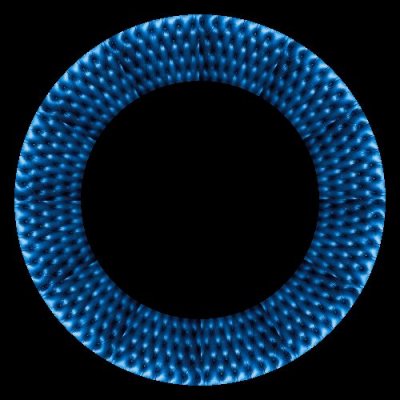 blue upholstery round preview