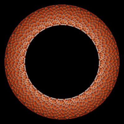 orange web round preview