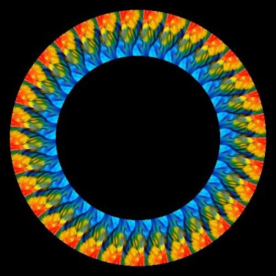 parrot wing round preview