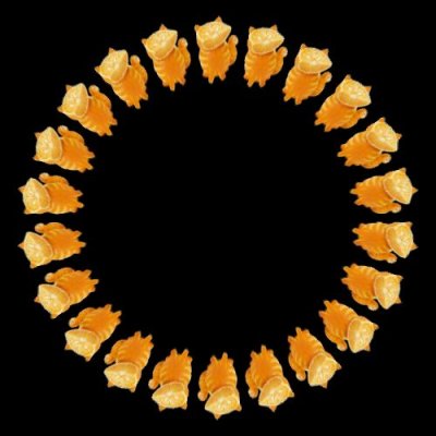 orange cat $ round preview