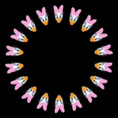 daphnie duck round preview