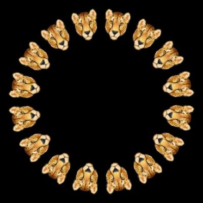 leapord x round preview