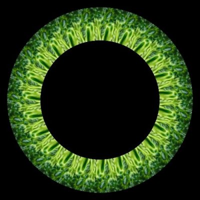 lettuce leaf $ round preview