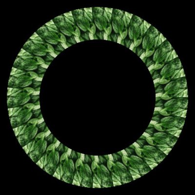 spinach round preview