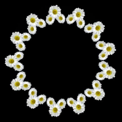 daisy arrow 1 of 2 round preview