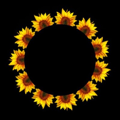 sunflower 3 of 3 (big one) round preview