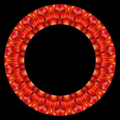 calla lilly round preview