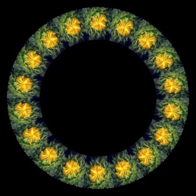 closed sunflower $ round preview